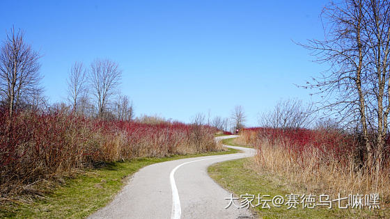 骑行_景色
