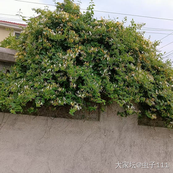又到了花开的季节。_花