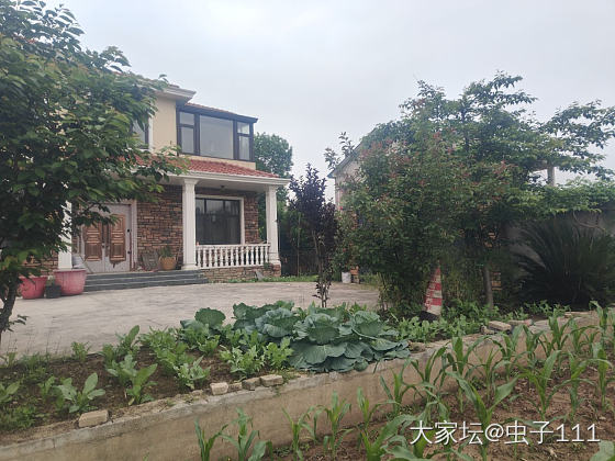 又到了花开的季节。_花