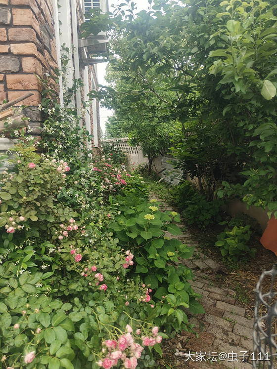 又到了花开的季节。_花