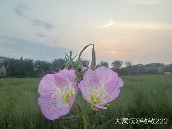 今日校长家锁价65克_贵金属