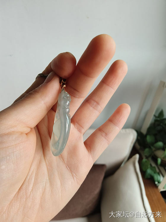 能看到多少价？_翡翠
