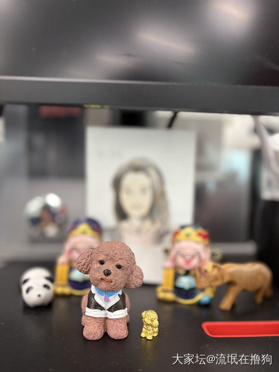 泰迪小狗子！_把玩件福利社金