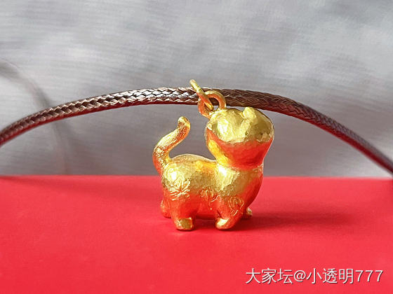 傲娇小猫_金