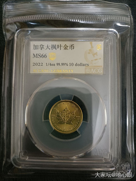 黄金真好，嘿嘿_金