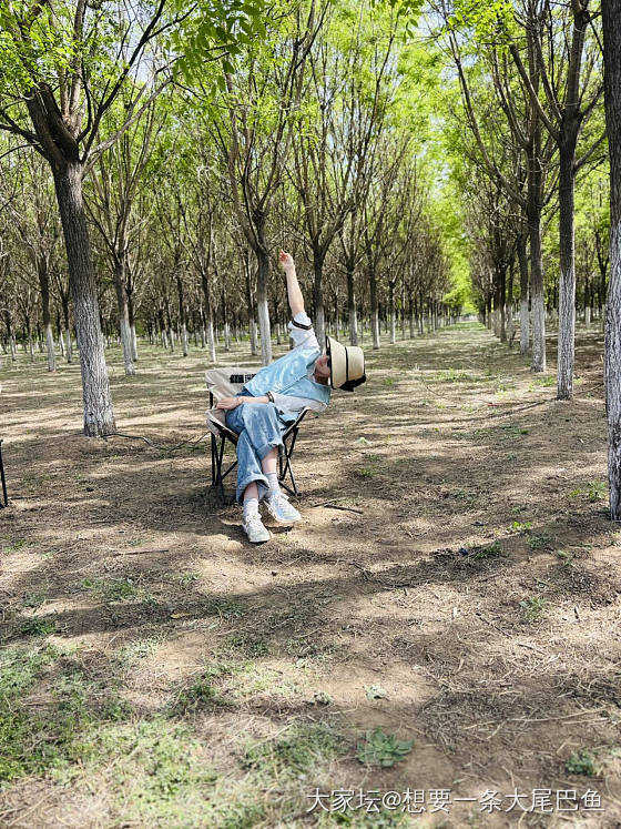 假期快乐_宠物