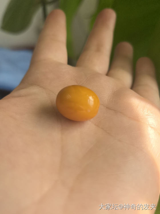 老蜜蜡桶珠_琥珀蜜蜡