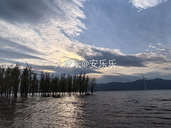 今天长这样～20250501_钻石