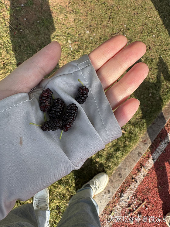 假期第一天——打野_旅游