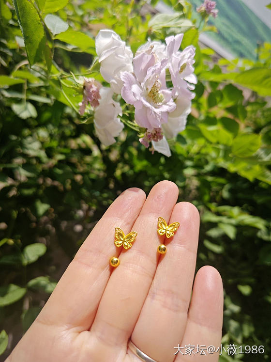 四叶草耳钉和小蝴蝶耳钉哪个更好看啊？
两个都蛮喜欢。
最近好迷这种螺丝的设计，不..._金耳饰