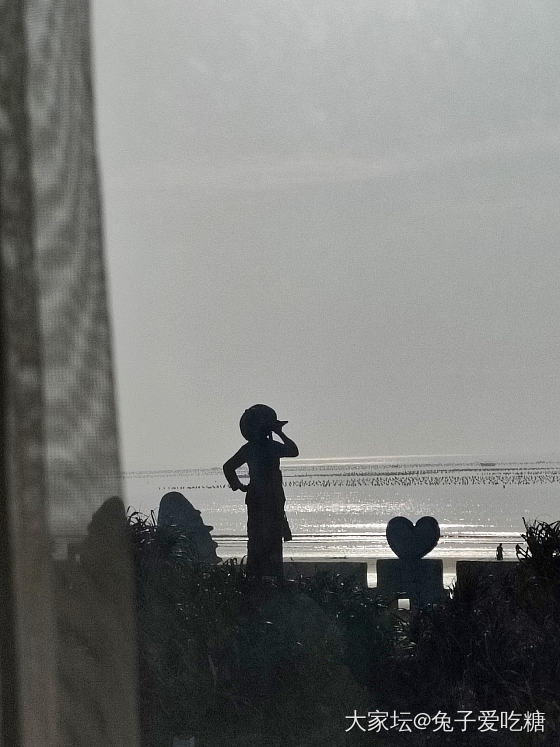 清晨第一缕阳光把我喊醒了_大家谈生活旅游