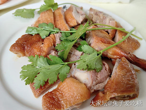 午餐都是我最爱_旅游美食