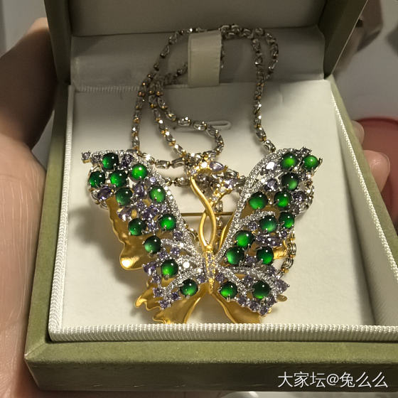 银镶危料，胸针项链两用款，一共几百块，展示一下。_银