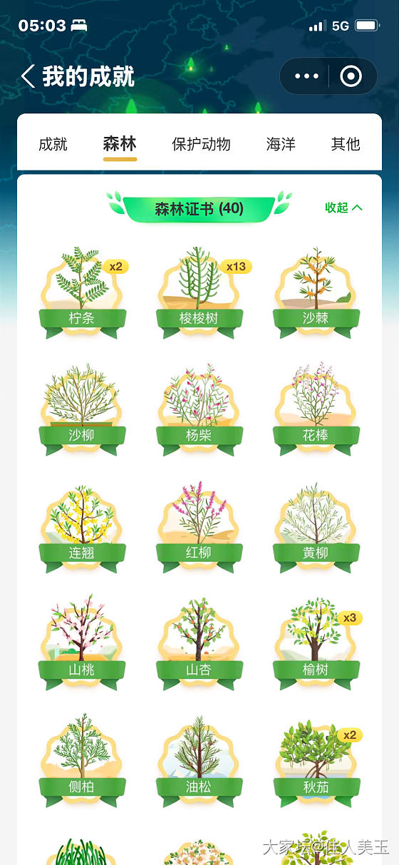 谁在支付宝种树的呀_支付宝