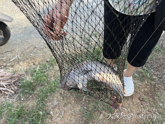 钓鱼拉_生活