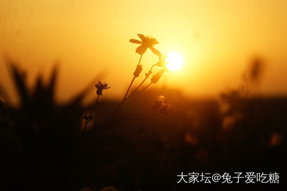 蹲守到海上的日出_旅游