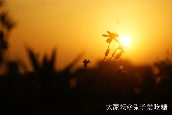 蹲守到海上的日出_旅游