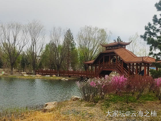 节日的宁静之旅_美食