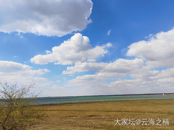 节日的宁静之旅_美食