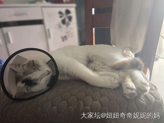 我是有多想不开要买个华为puraX?_数码