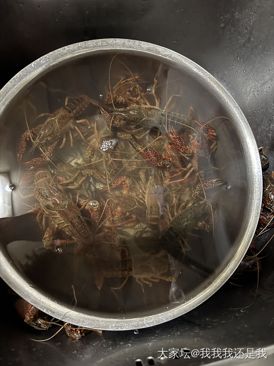 贪嘴，我吃上火了！_美食