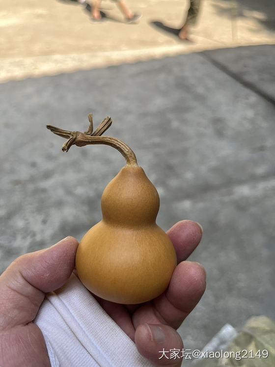 今日爬山收获，爬山的乐趣不止于爬_旅游闲聊