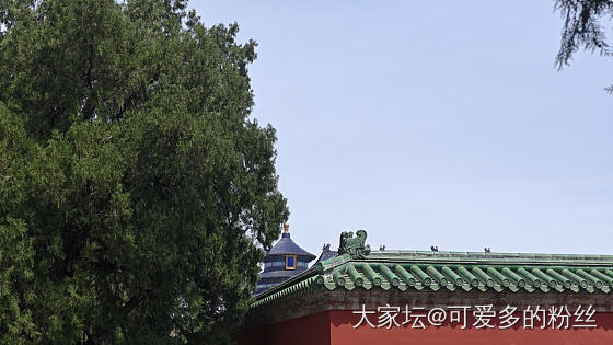 假期闲逛～_景色