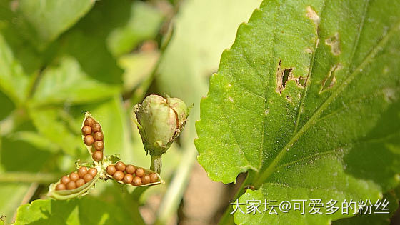 假期闲逛～_景色
