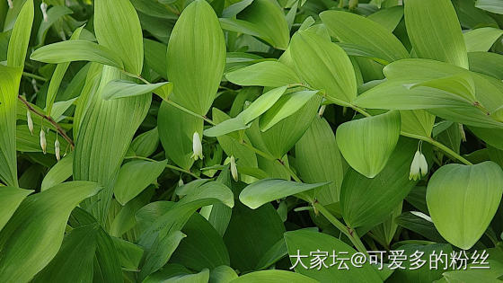 假期闲逛～_景色
