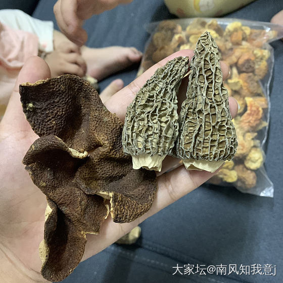 只要娃爱吃都买😂 真的 身边有很多小朋友都喜欢吃各种菇类_美食