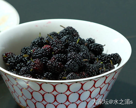 昨天摘的桑葚做成果酱_美食