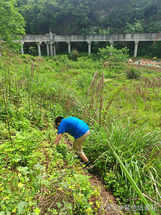 开心一刻：爬山惊魂，我们在城市迷路了。_闲聊