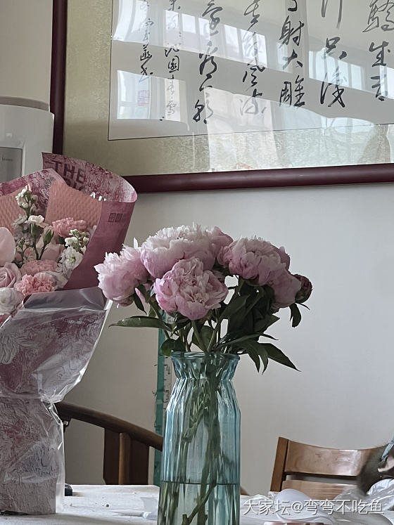 芍药最美_花