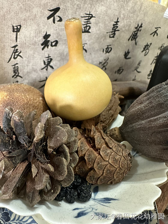 一把救心丸葫芦一把蒜头葫芦_葫芦