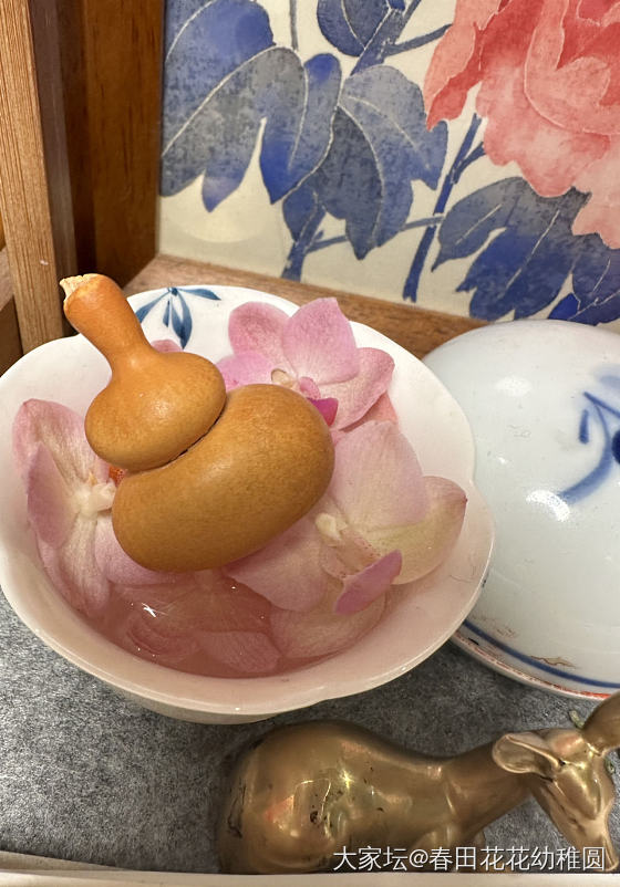 一把救心丸葫芦一把蒜头葫芦_葫芦