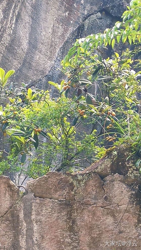 千年石板仓，玻璃水航道一票难求_旅游