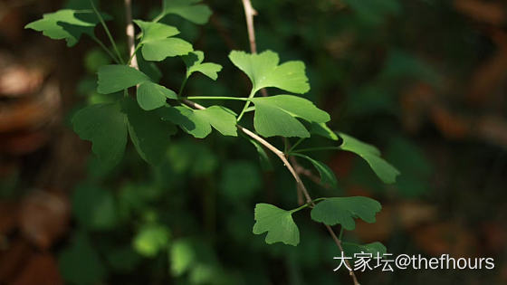 愉快的假期这么快就过了_摄影