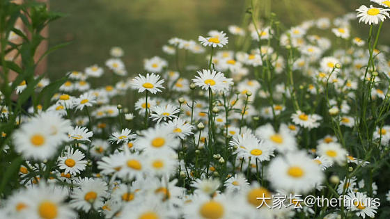 愉快的假期这么快就过了_摄影