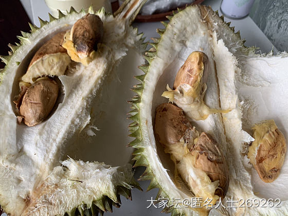 没苦硬吃🥹_水果