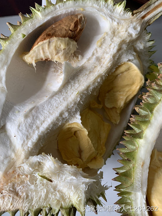 没苦硬吃🥹_水果