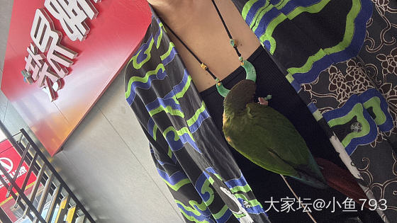 新挂件_翡翠