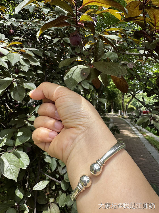 紫叶李结果子了，夹竹桃漫长的盛花期拉开帷幕。_银