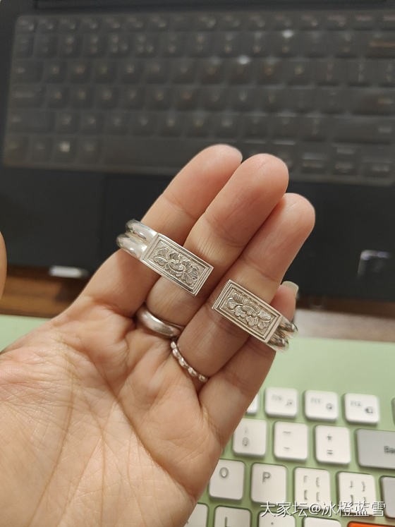 壹寸金工牡丹花双轨马蹄_银