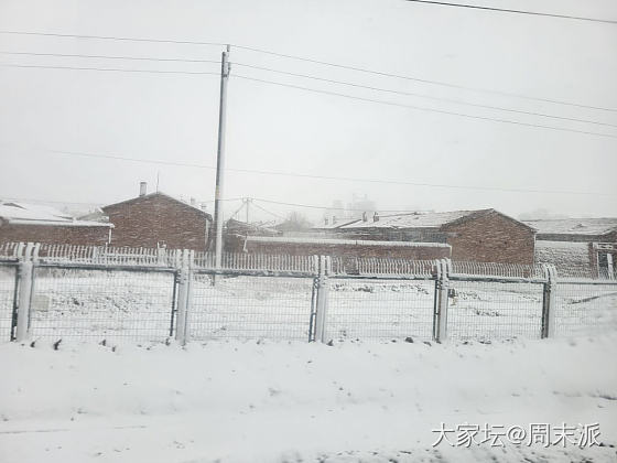 下雪了！_大家谈
