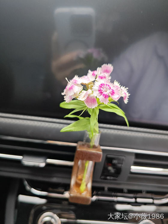 今天的小美好～
几块钱买的
小小的一朵，插上好可爱呐_花生活