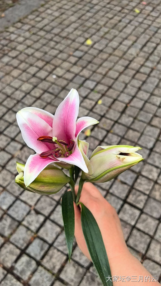 在上班和上进之间_闲聊