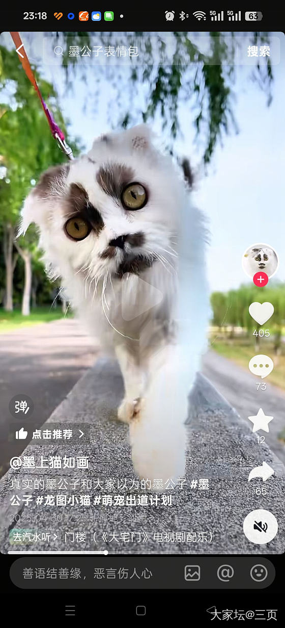 来看别人家可爱的小猫_猫