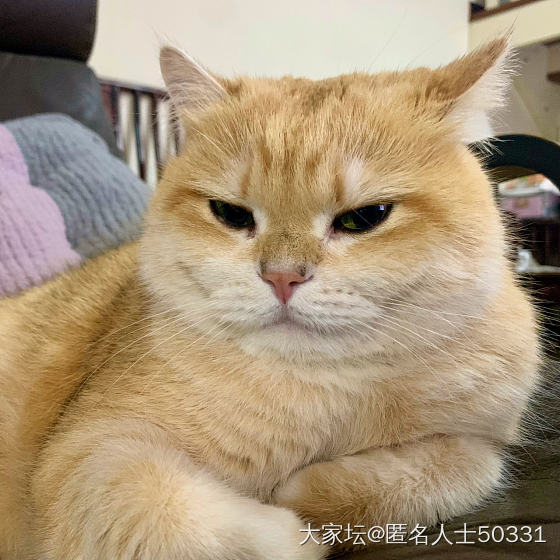 自从快手上买过条子，每天都能接到翡翠直播的骚扰电话_闲聊