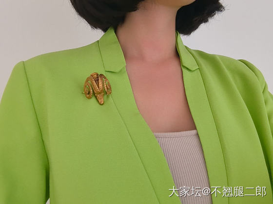 佐罗塔斯公羊胸针。_金