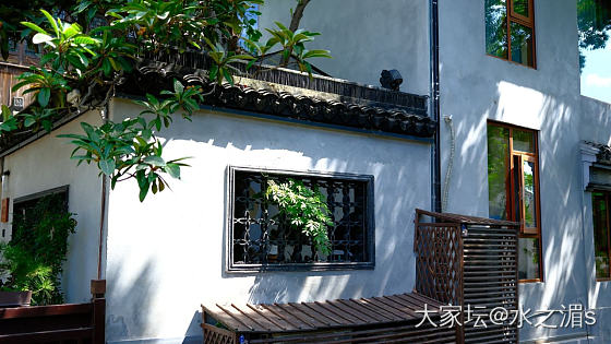 周六，出门拍拍_旅游